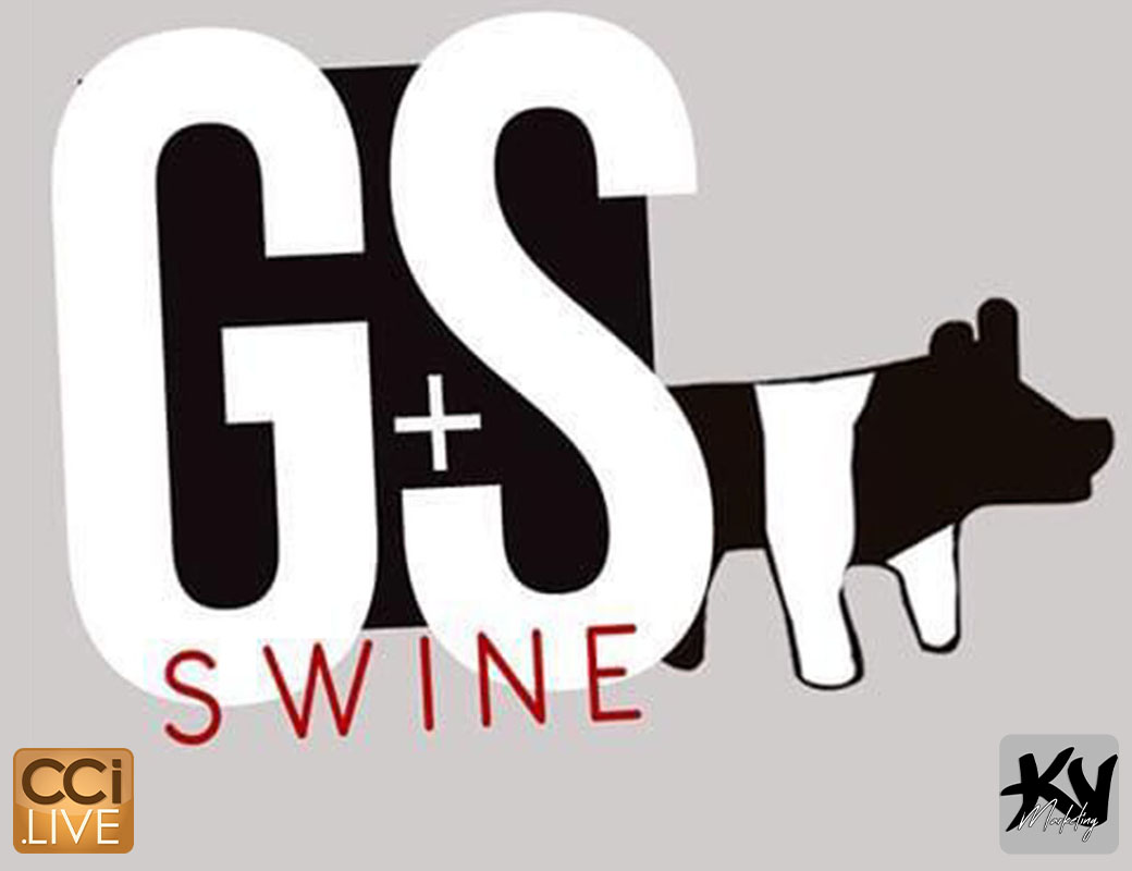 G&S Swine Farm Sale photo