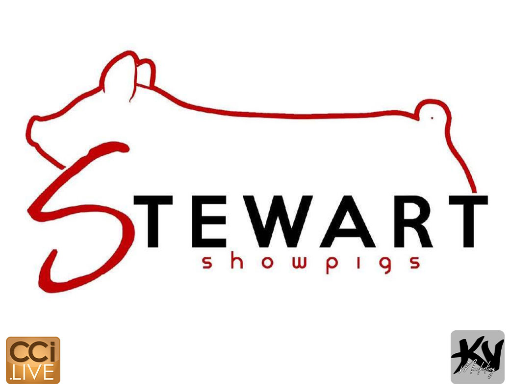 Stewart Showpigs Farm Sale photo