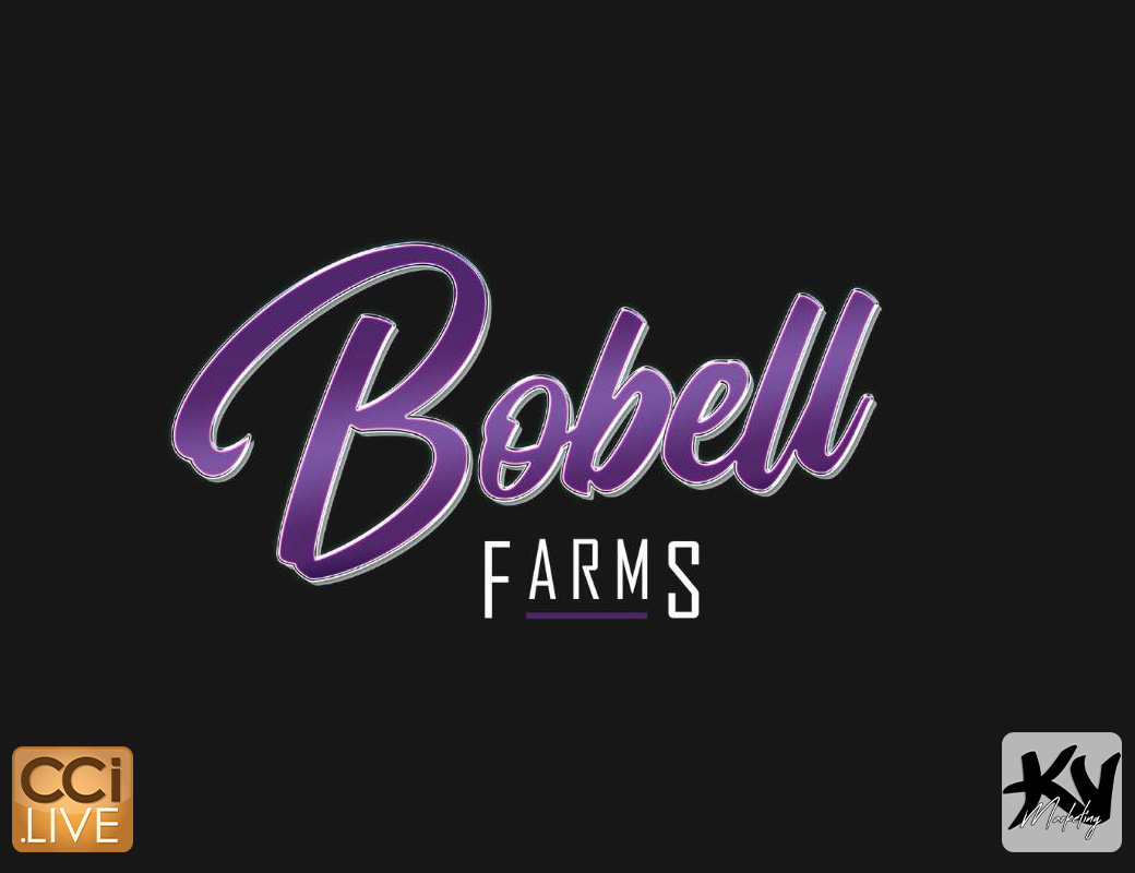 Bobell Farms - Sale #2 photo