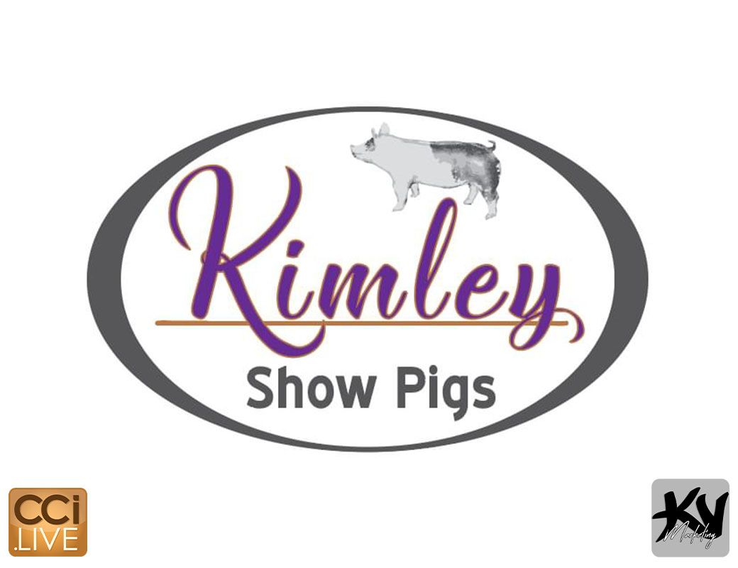 Kimley Showpigs Sale photo