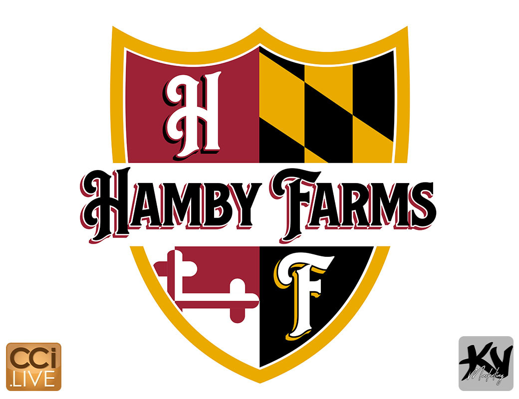 Excellence Creates Opportunity photo