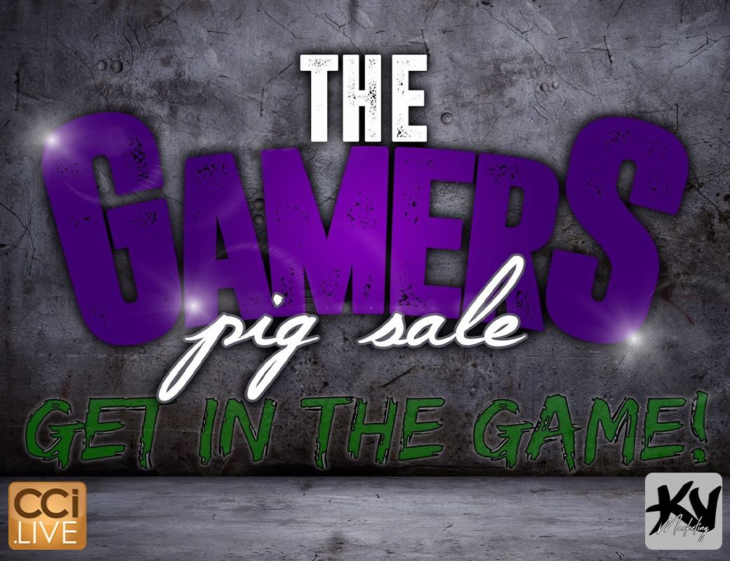 Gamers Pig Sale photo