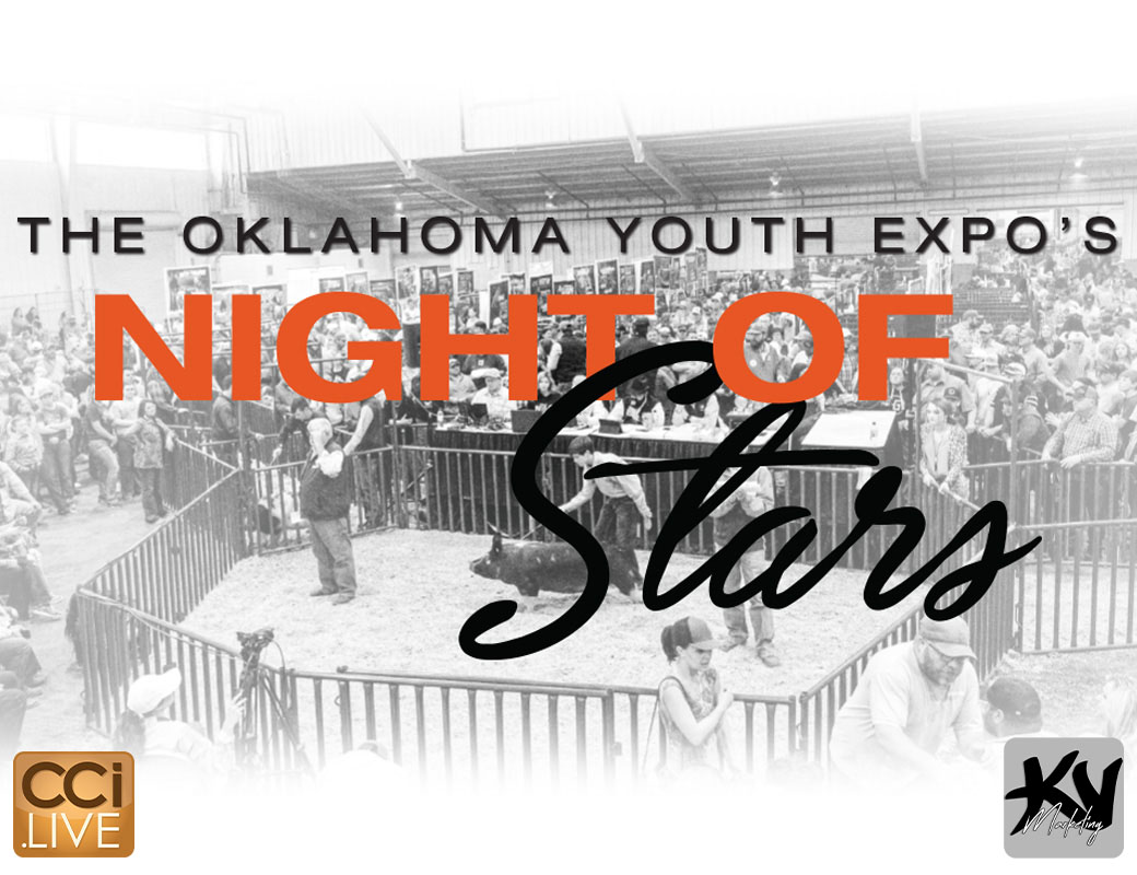 OYE Night of Stars photo