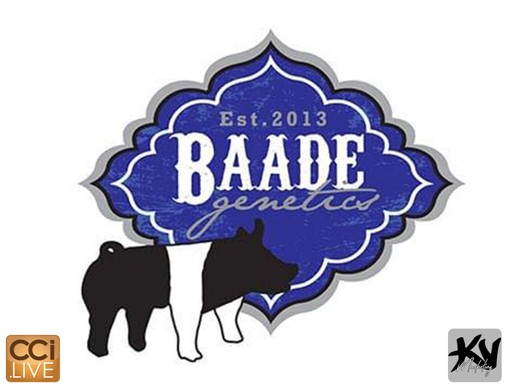 Baade Genetics Sale photo