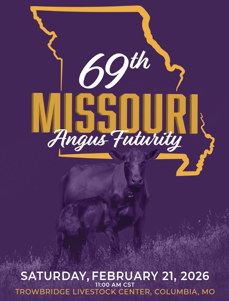 Missouri Angus Futurity Sale photo