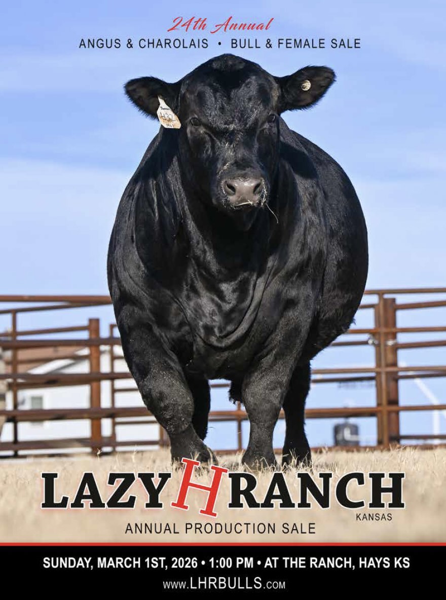 Lazy H Ranch Production Sale photo
