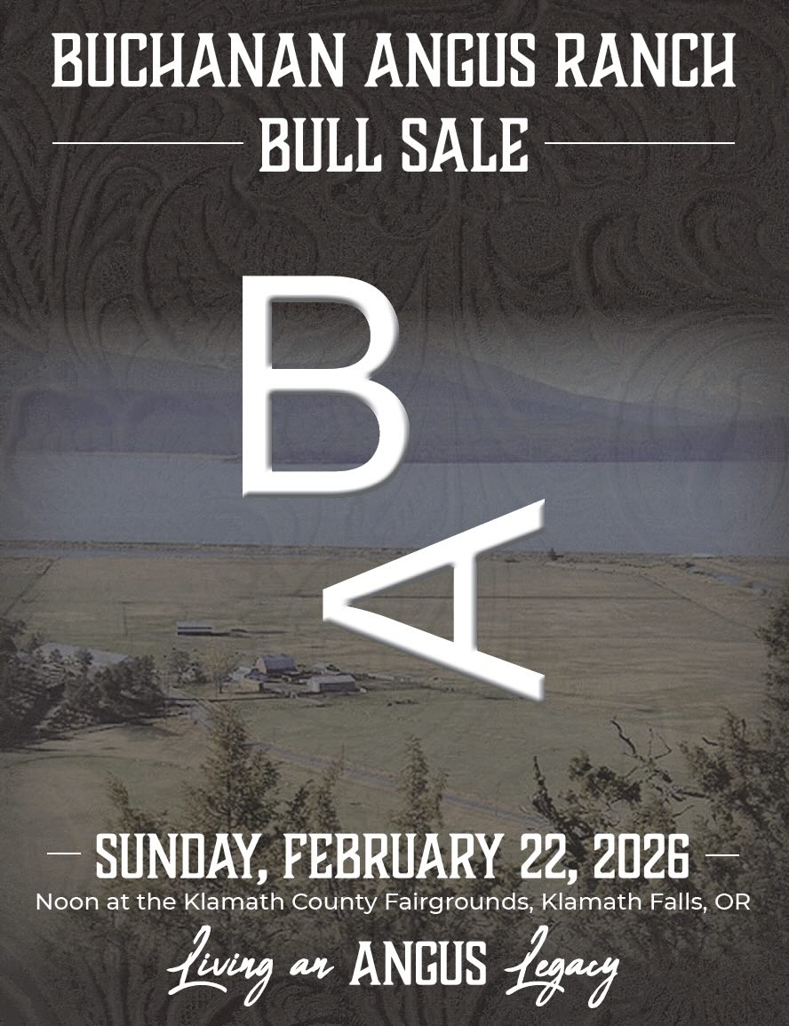 Buchanan Angus Ranch Bull Sale photo