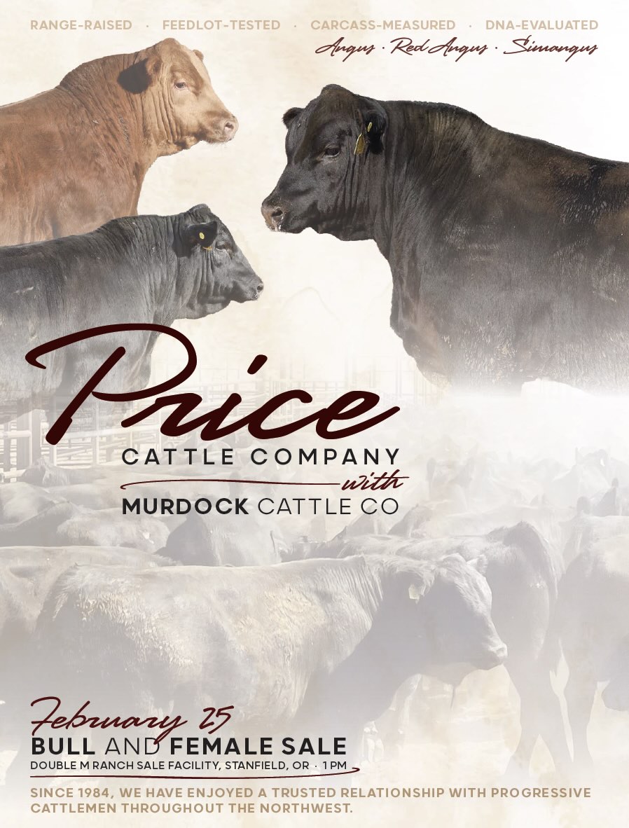 Price Cattle Co / Murdock Cattle Co Bull Sale photo