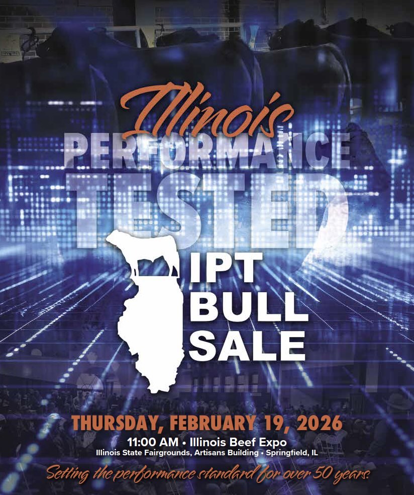 Illinois Performance Tested Bull Sale photo