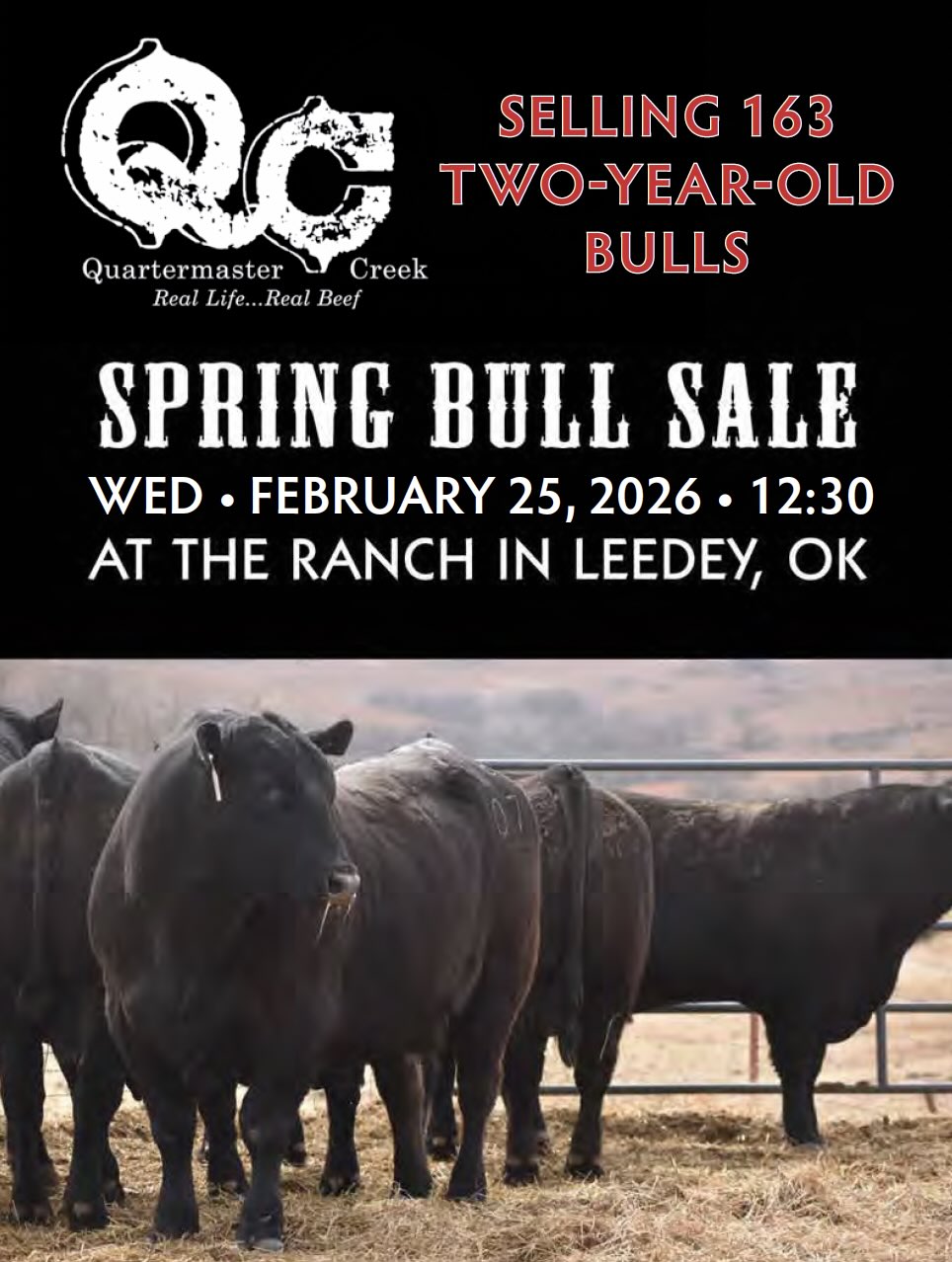 Quartermaster Creek Spring Bull Sale photo