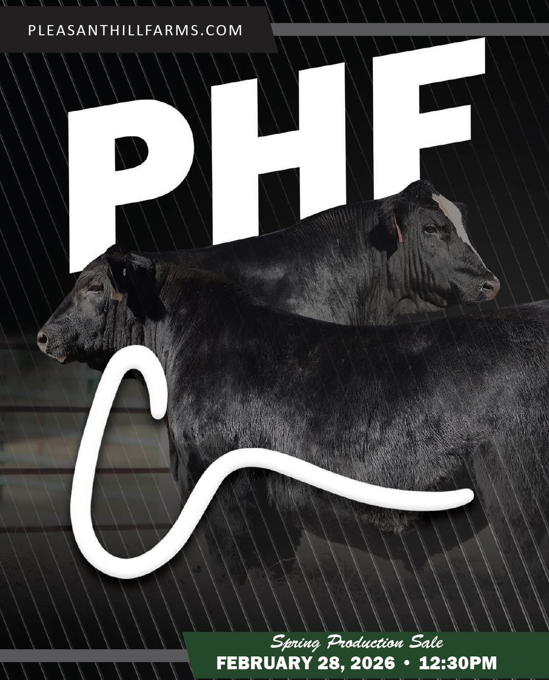 Pleasant Hill Farms Annual Spring Production Sale photo