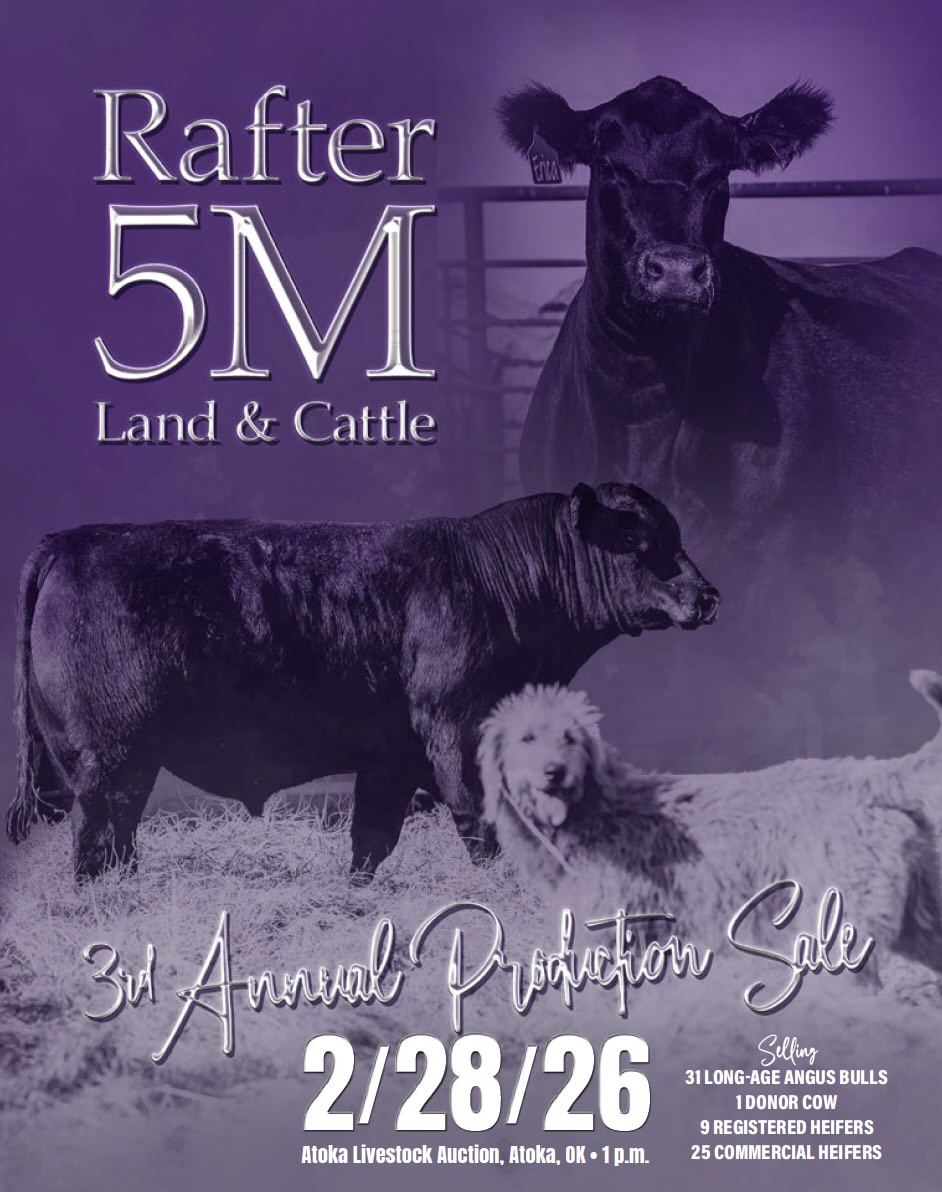 Rafter 5 M Land and Cattle Sale photo