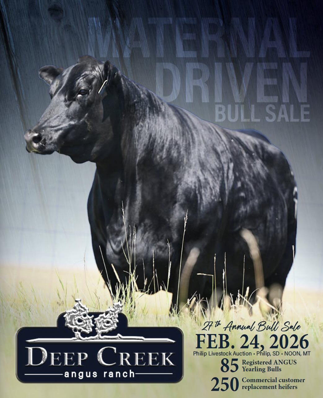 Deep Creek Angus Ranch 27th Annual Bull Sale photo