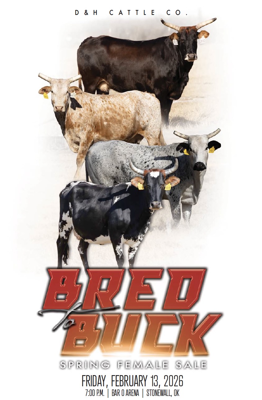 D&H Bred to Buck Spring Female Sale photo