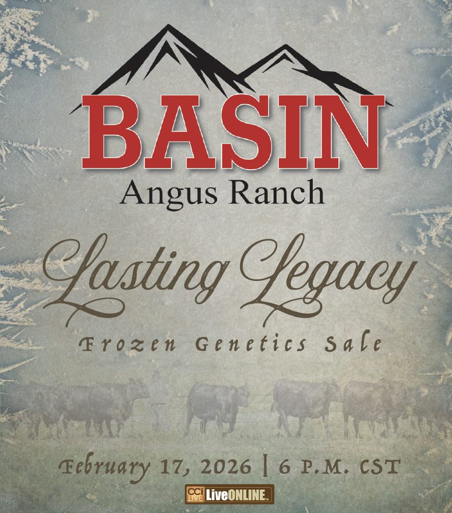 Basin Angus Lasting Legacy Frozen Genetics photo