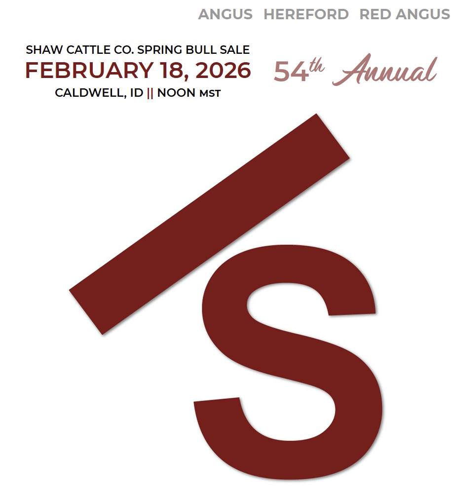 54th Annual Shaw Cattle Co. Spring Bull Sale photo