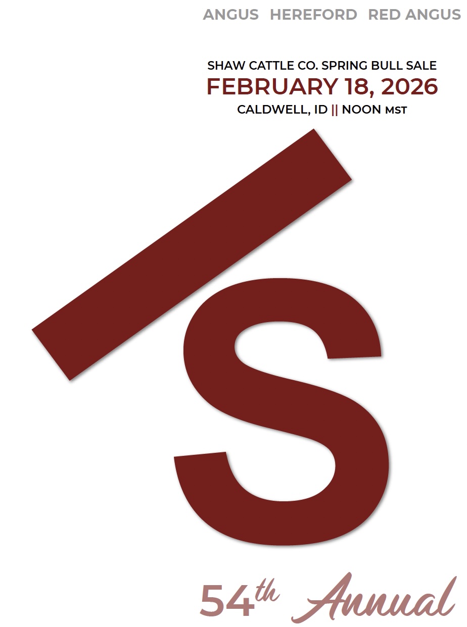 54th Annual Shaw Cattle Co. Spring Bull Sale photo