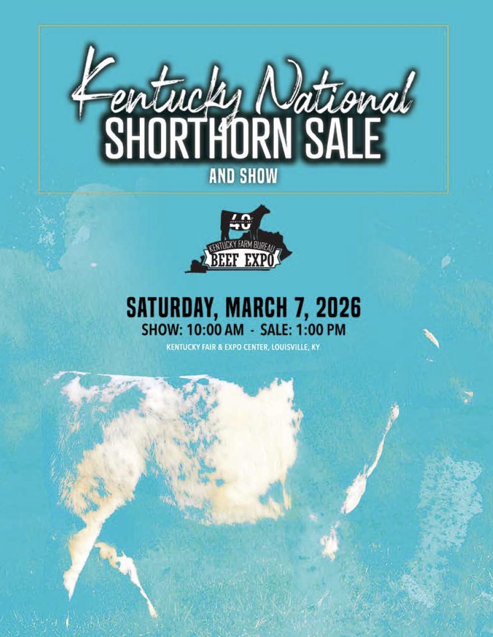 Kentucky Beef Expo Shorthorn Sale photo