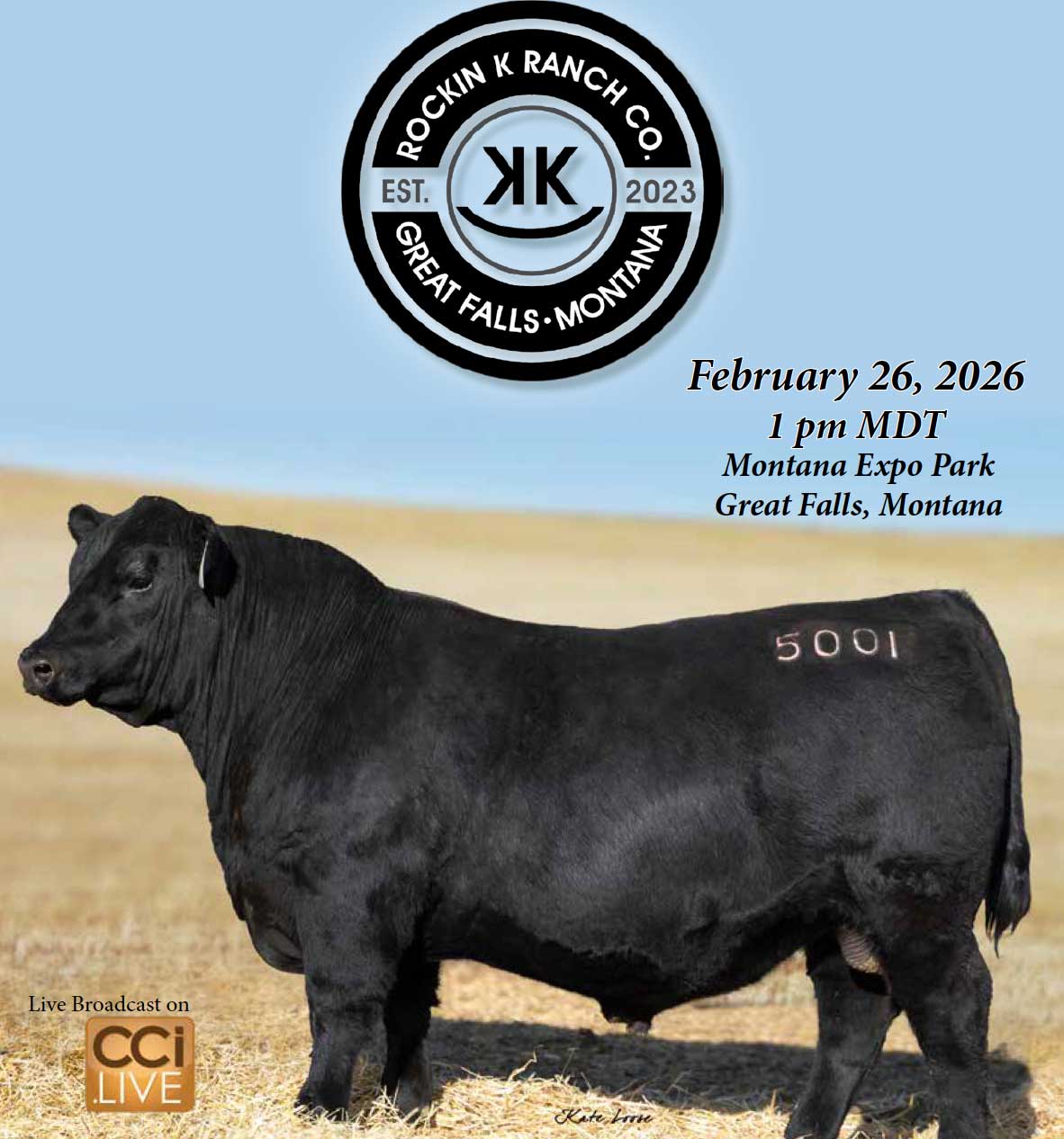 Rockin K Ranch Co. Angus Bull and Female Sale photo