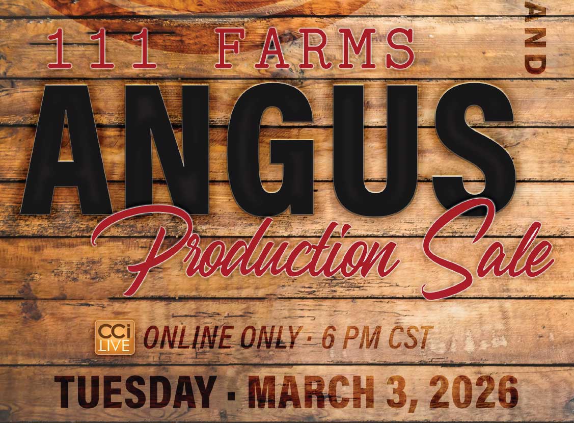 111 Farms Angus Production Sale photo