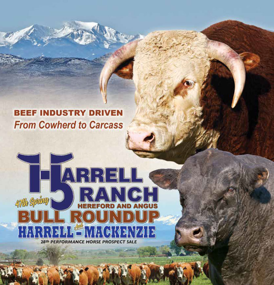 Harrell Ranch Bull & Female Sale and Harrell/Mackenzie Performance Horse Sale photo