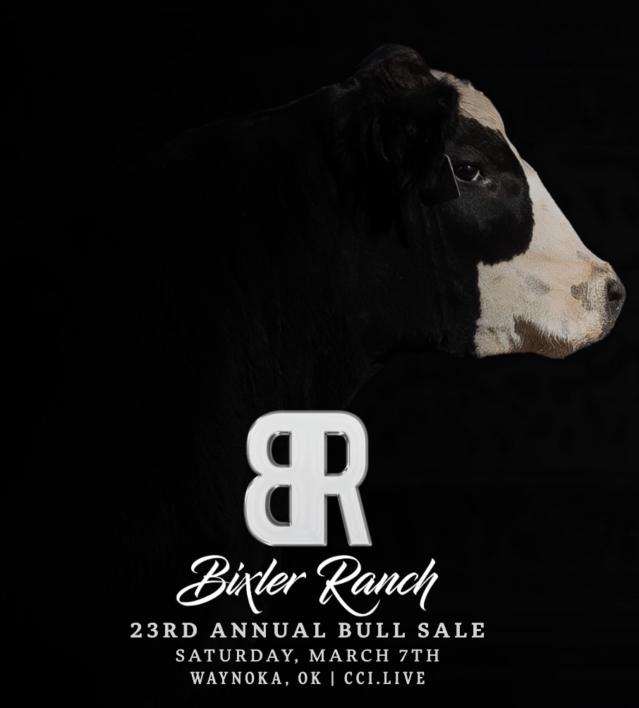 Bixler Ranch Bull Sale photo