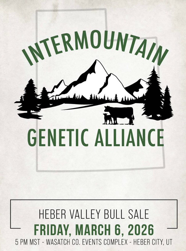Intermountain Genetic Alliance Bull & Female Sale photo