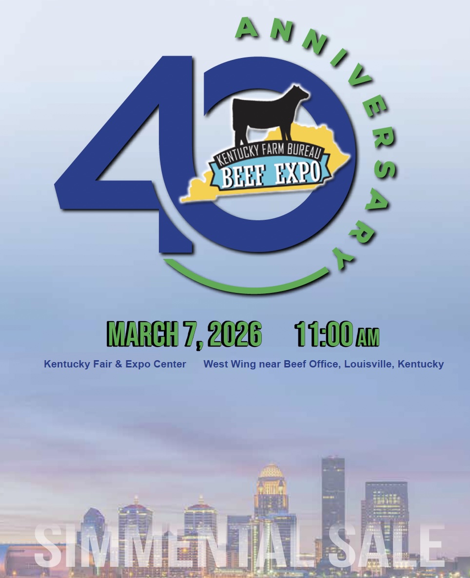 Kentucky Beef Expo Simmental Sale photo