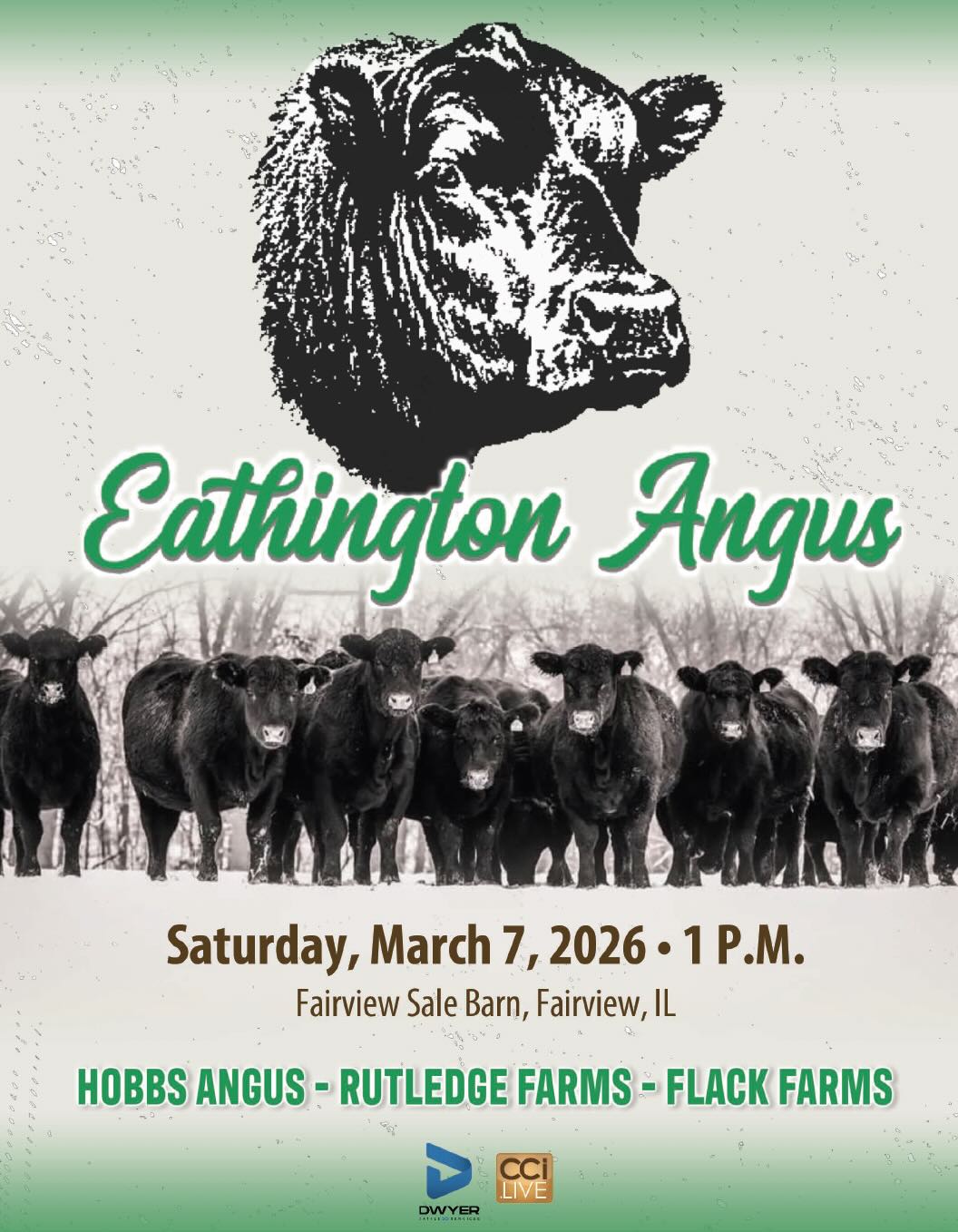 Hobbs Angus & Eathington Angus Sale photo