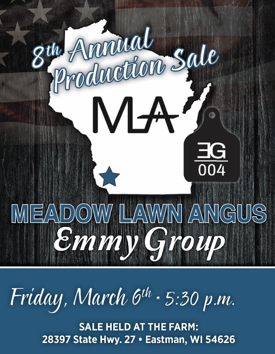 Meadow Lawn Angus Sale photo