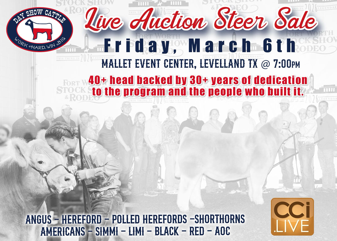 Day Show Cattle Live Steer Sale photo