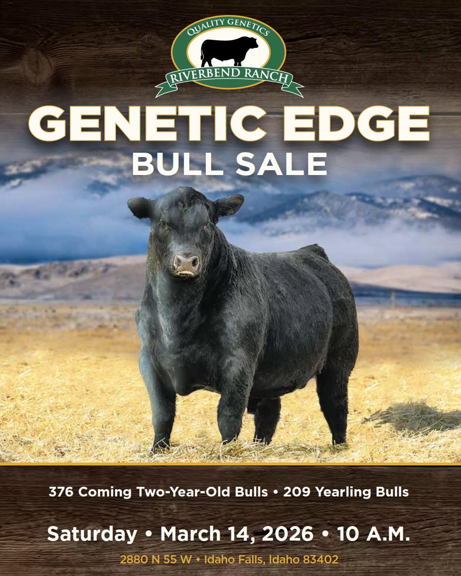 Riverbend Ranch Genetic Edge Spring Bull Sale photo