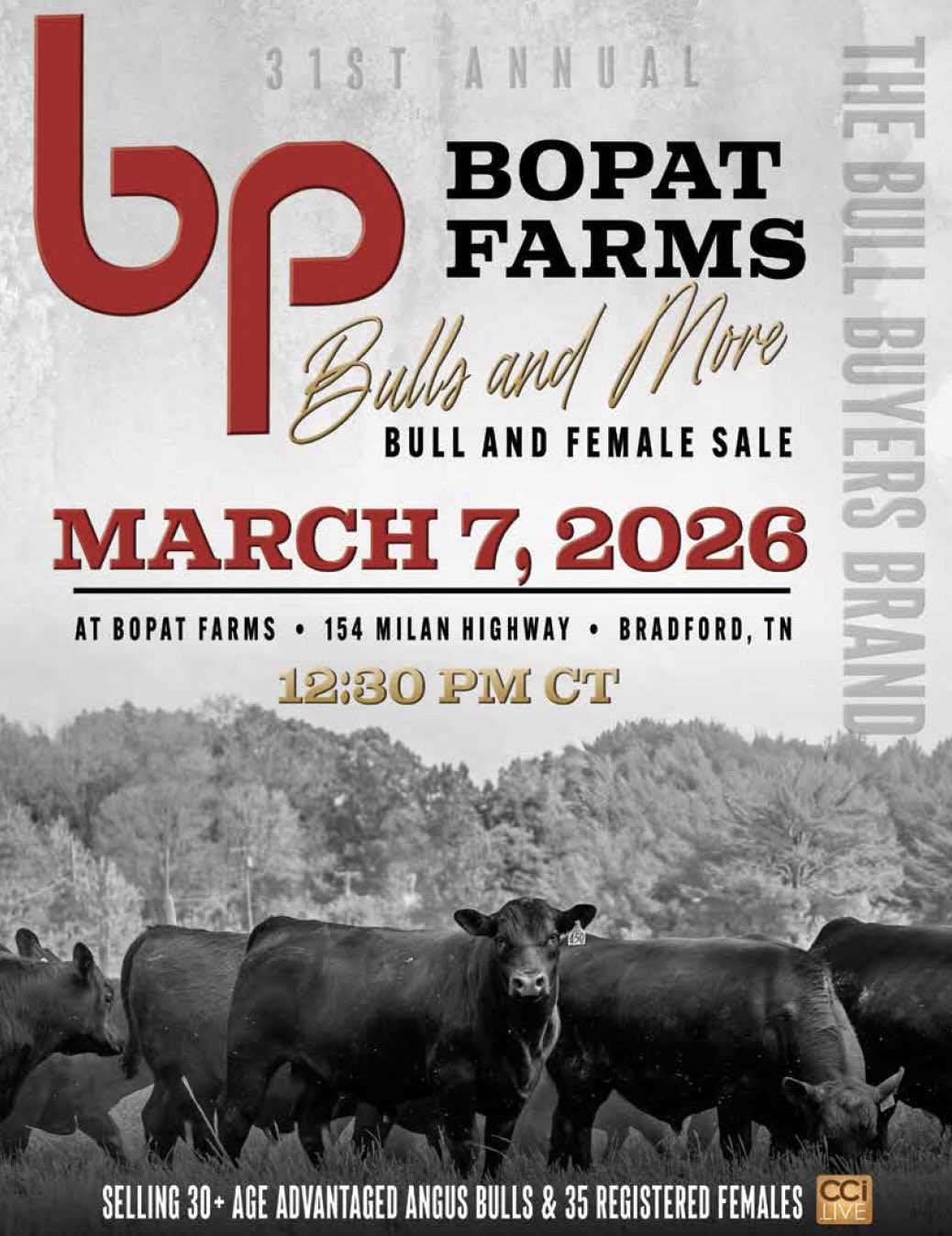 BoPat Farms 31st Annual Bull and Female Sale photo