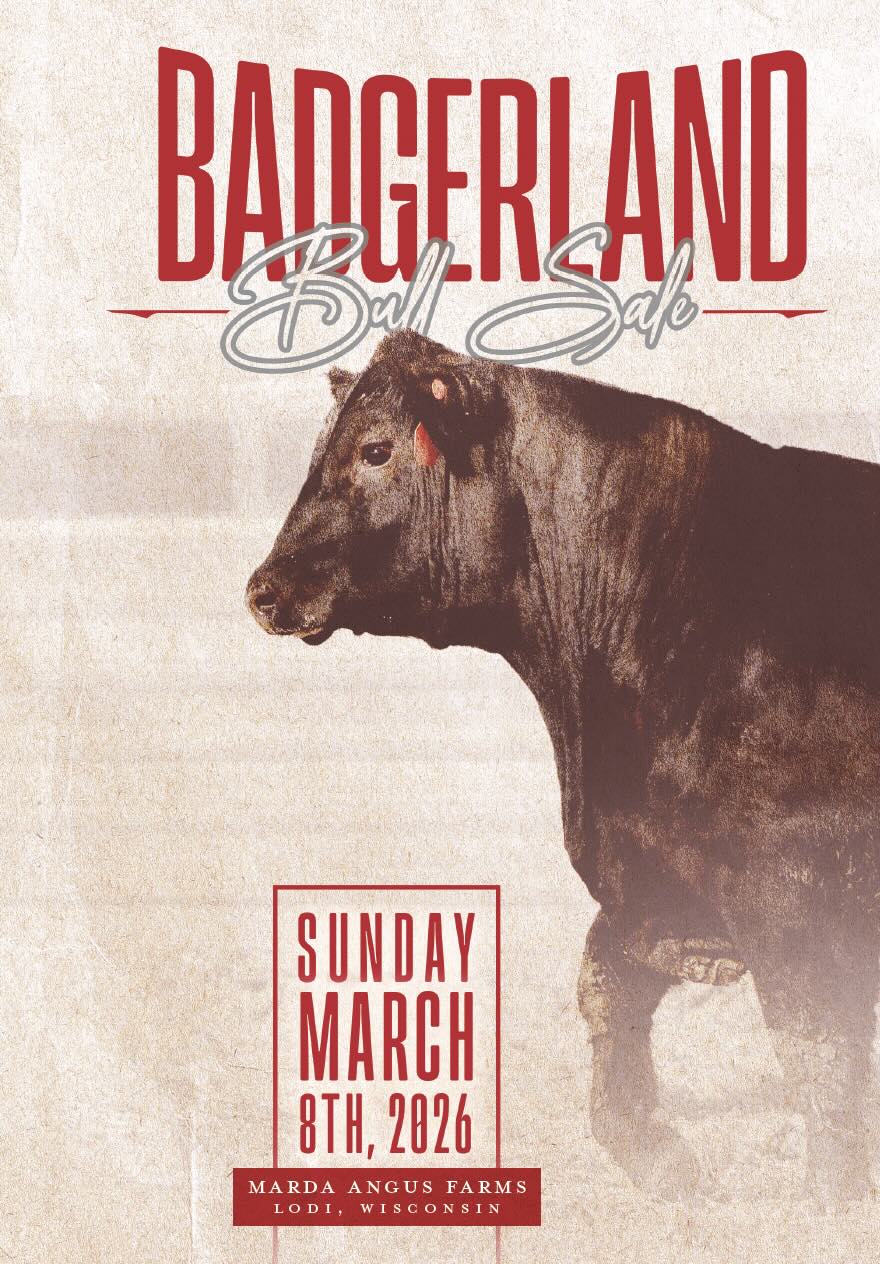 Badgerland Bull Sale photo