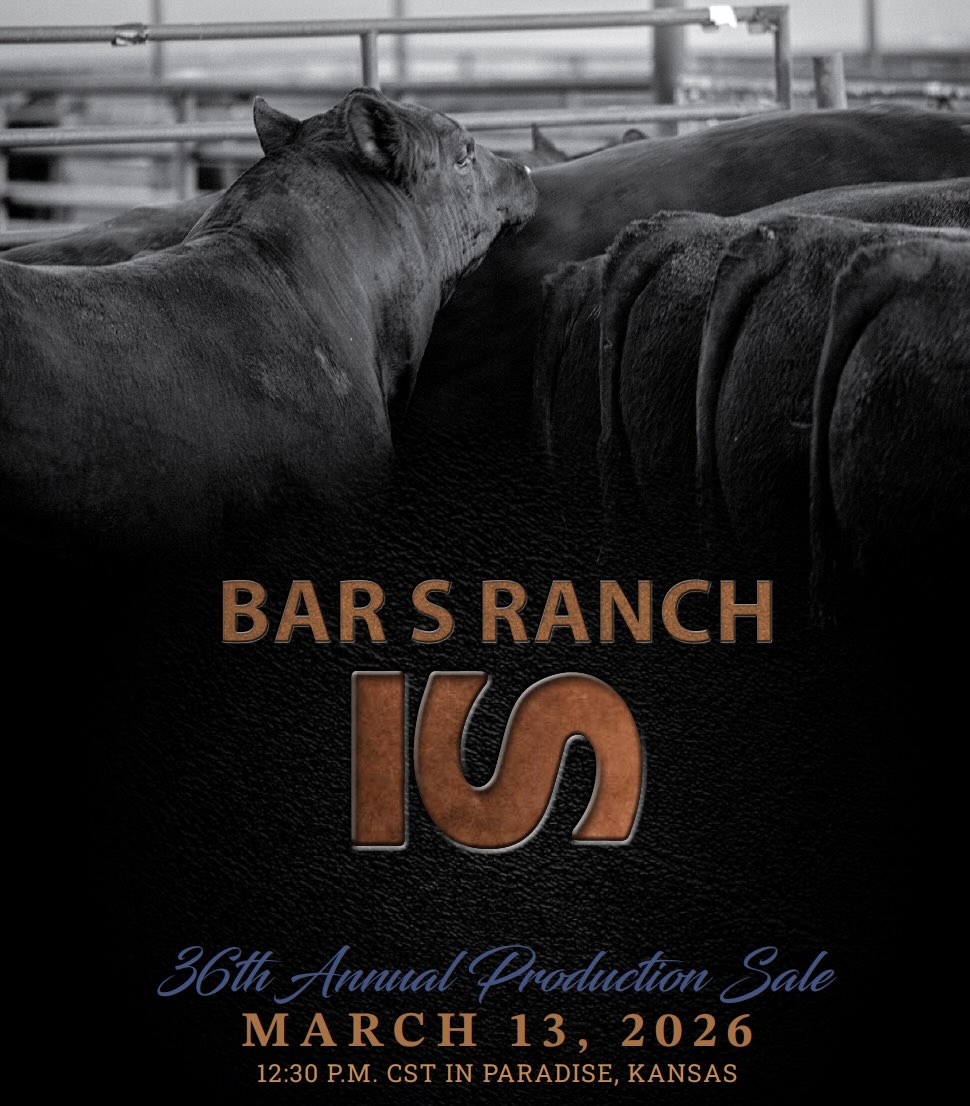 Bar S Ranch Production Sale photo