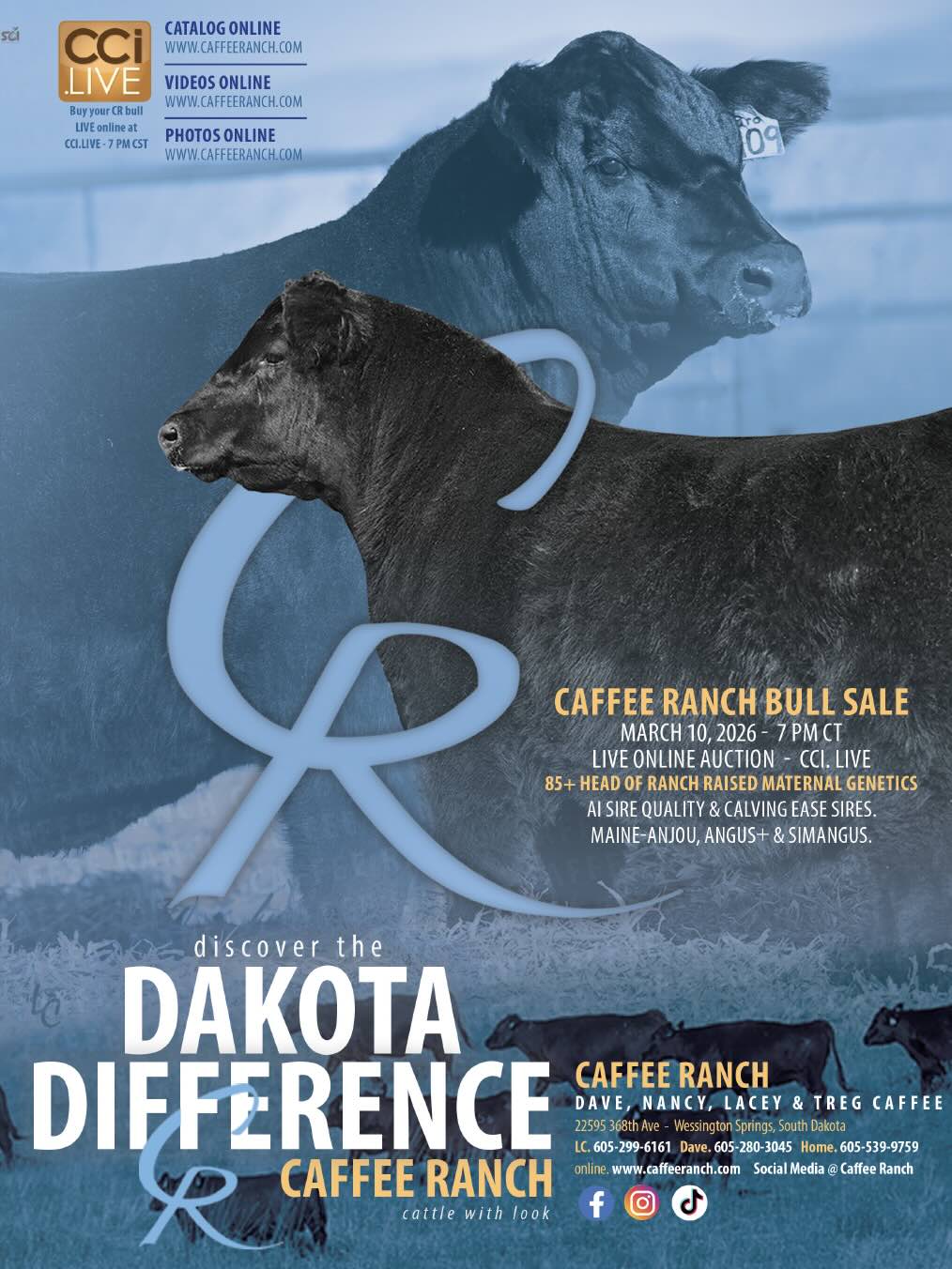 Caffee Ranch 14th Annual Bull Sale photo