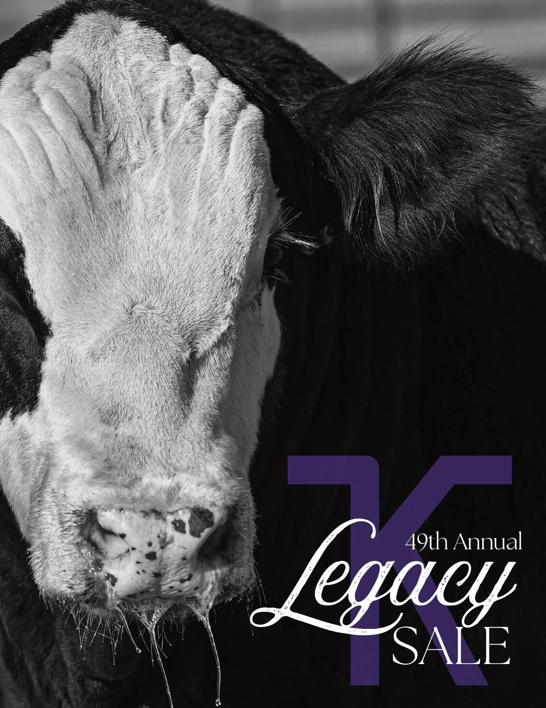 K-State Legacy Sale photo