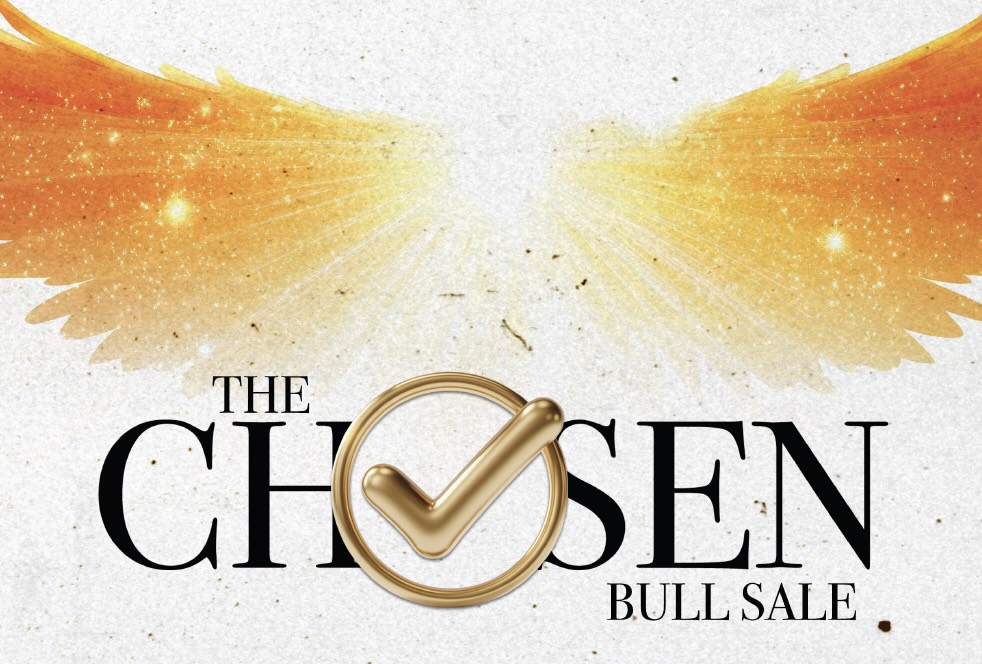 The Chosen Bull Sale, Volume 2 photo