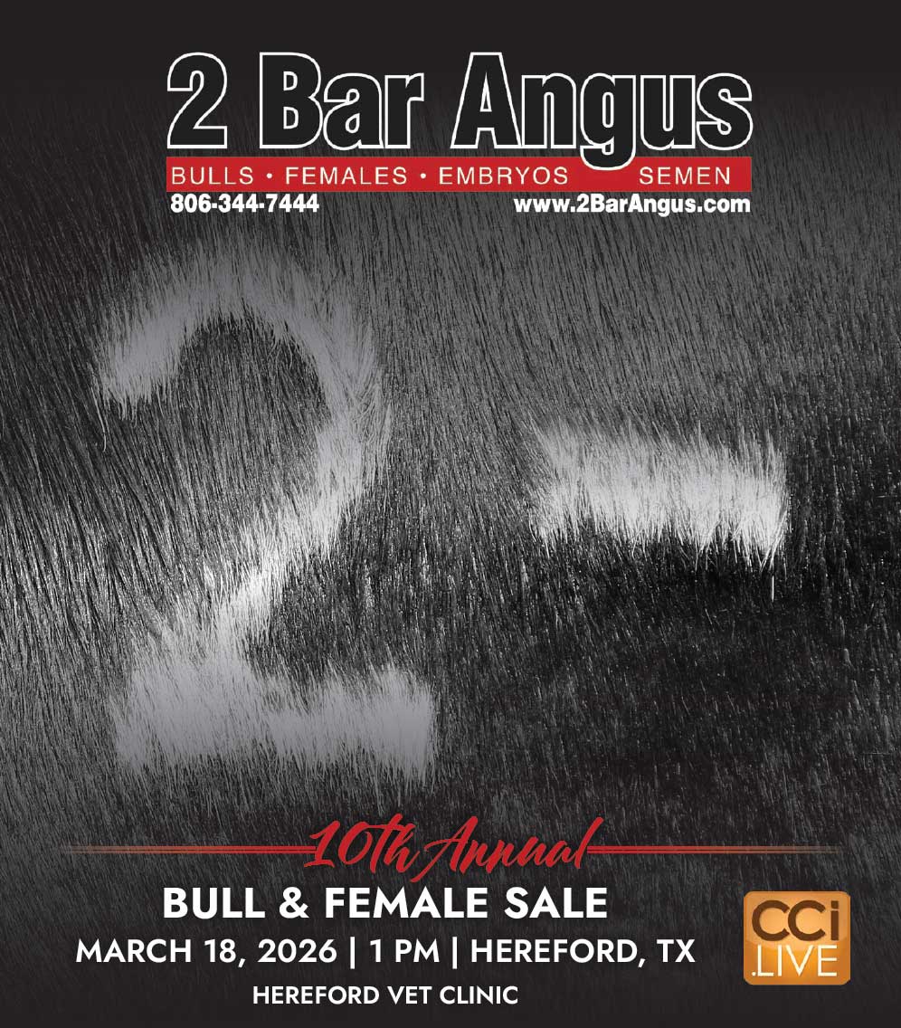 2 Bar Angus Sale photo