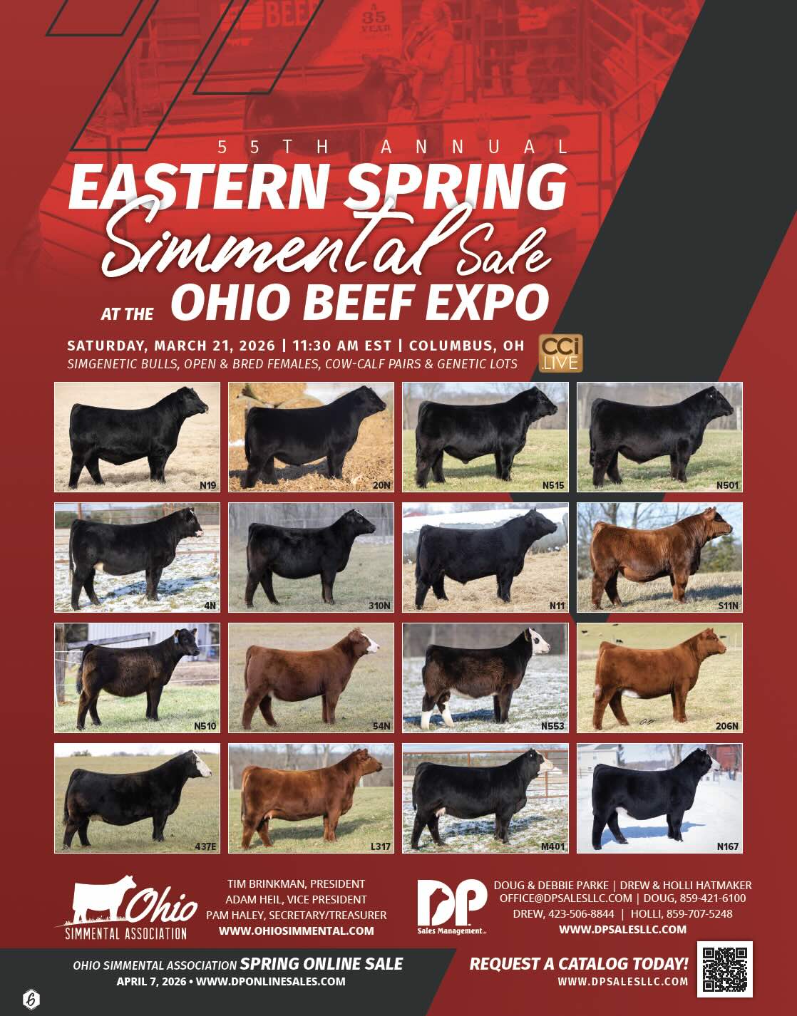Ohio Beef Expo Simmental photo