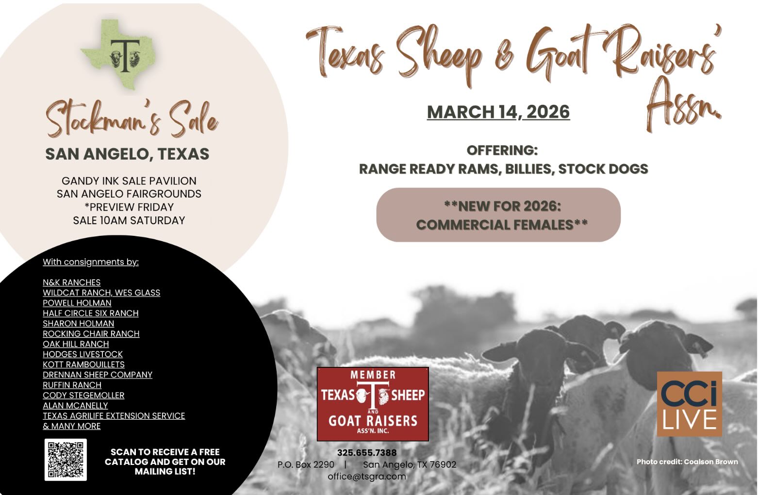 Texas Sheep & Goat Raisers' Association Sale photo