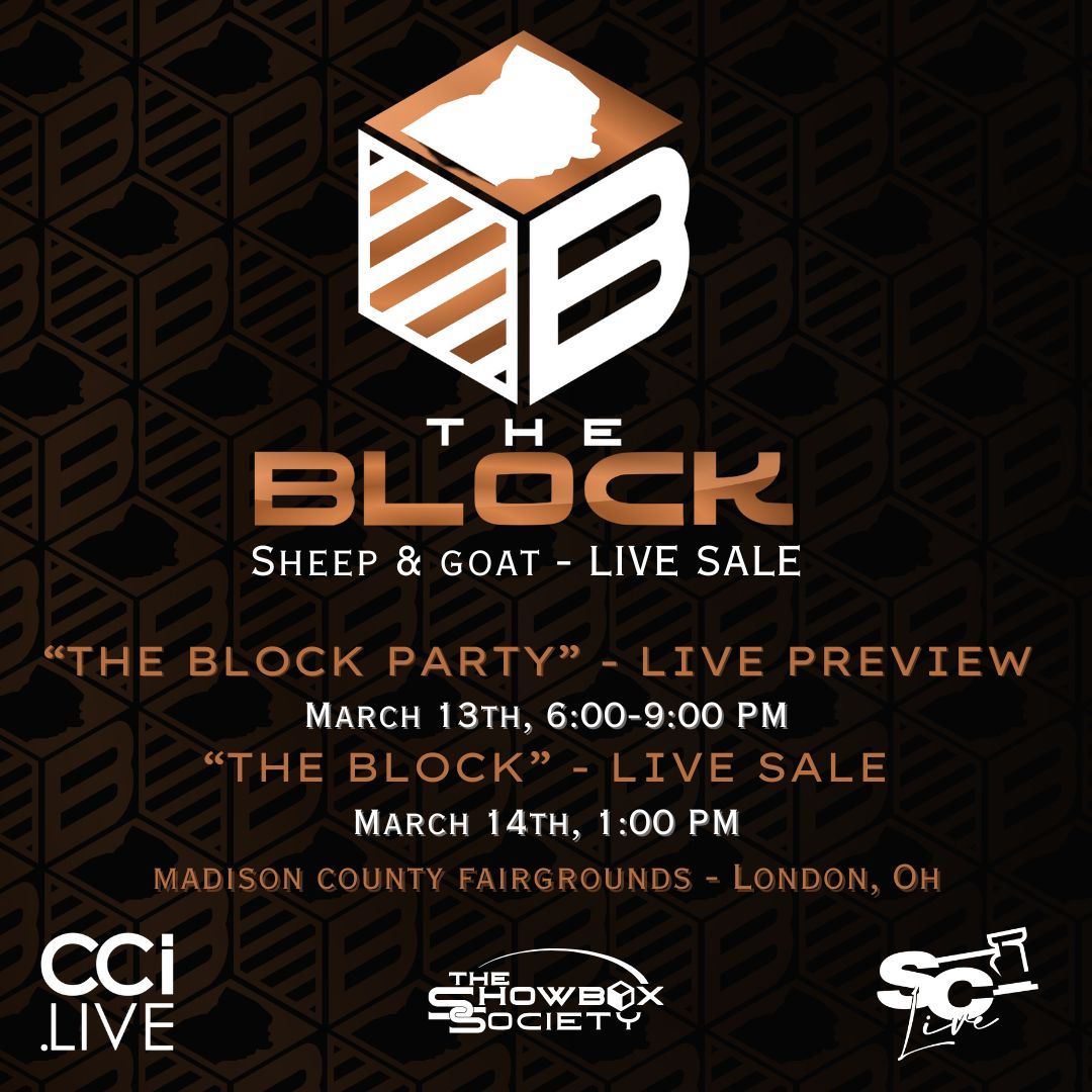 The Block Sheep and Goat Live Sale photo