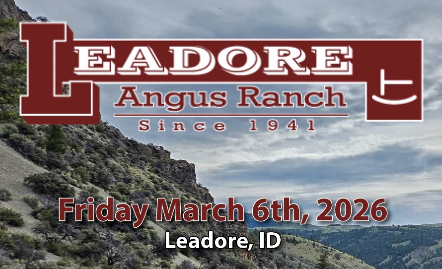 Leadore Angus Ranch photo