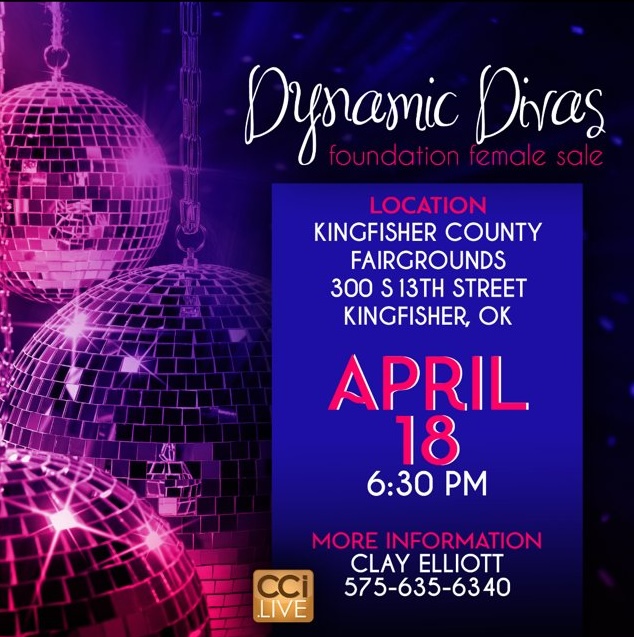 Dynamic Divas Foundation Female Sale photo