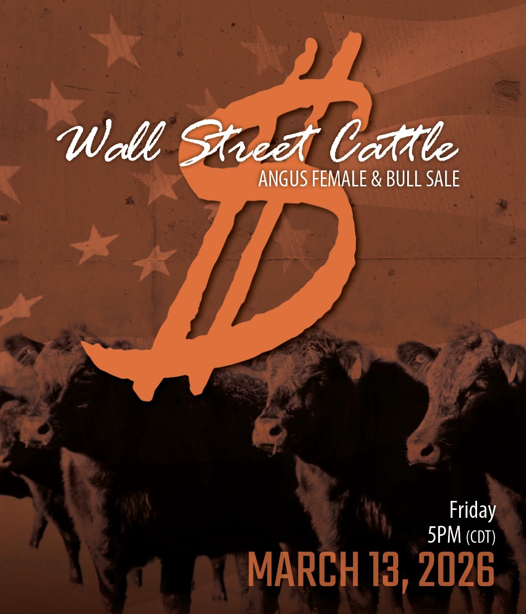 Wall Street Cattle Co. Bull Sale photo