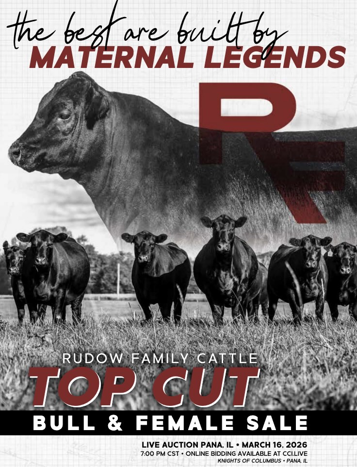 Rudow Family Cattle Top Cut Bull and Female Sale photo