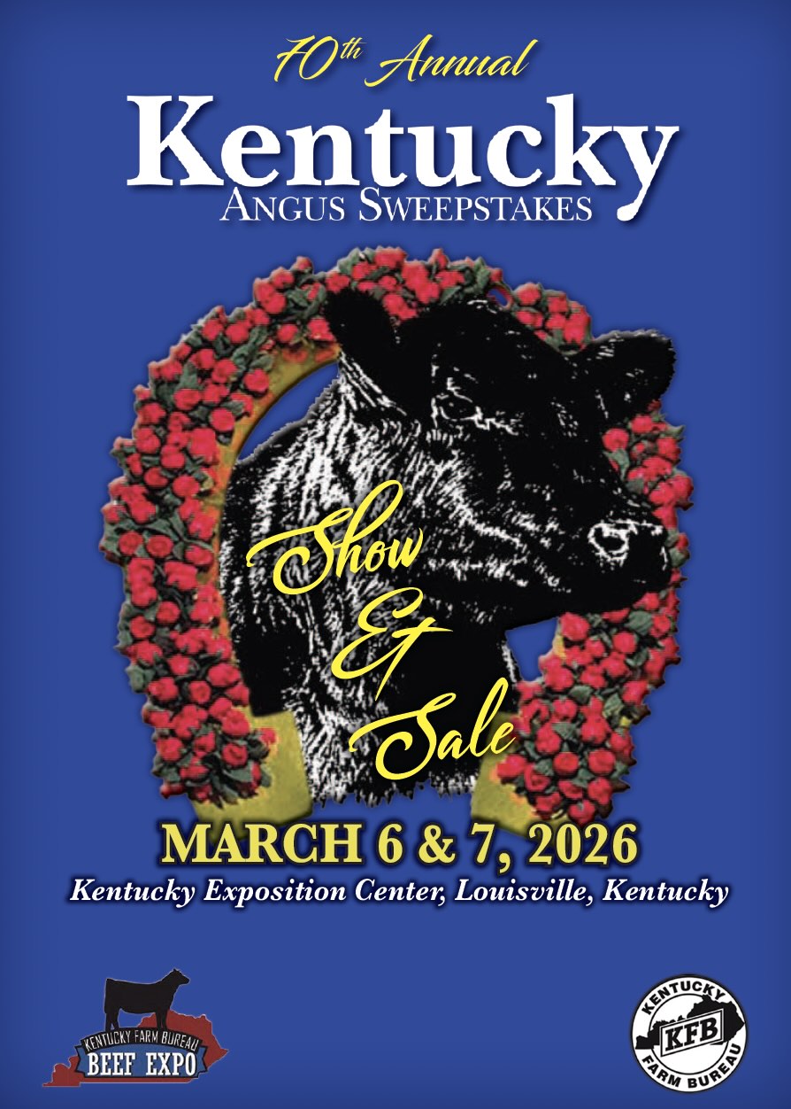 Kentucky Beef Expo Angus Sweepstakes Sale photo