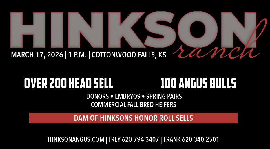 Hinkson Ranch Bull and Female Sale photo
