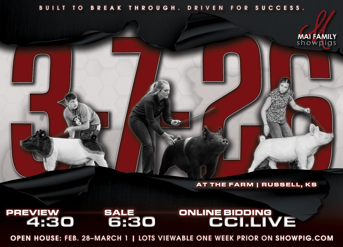 Mai Family Showpigs Farm Sale photo