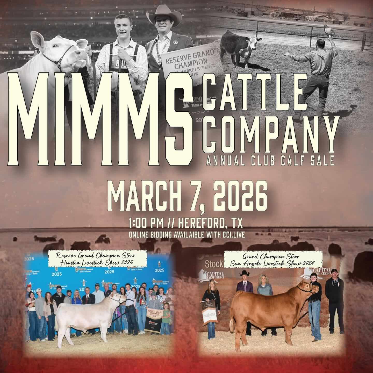 Mimms Cattle Co. Club Calf Sale photo